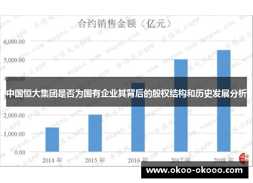 中国恒大集团是否为国有企业其背后的股权结构和历史发展分析