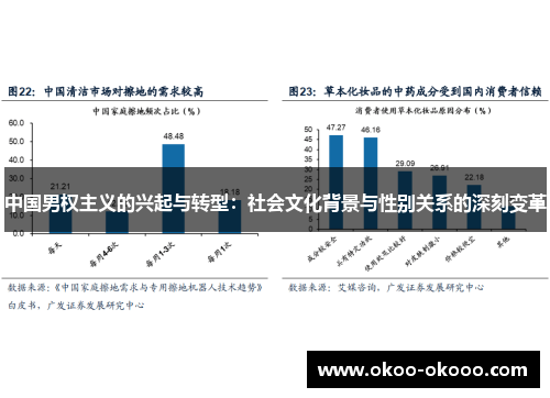 中国男权主义的兴起与转型：社会文化背景与性别关系的深刻变革